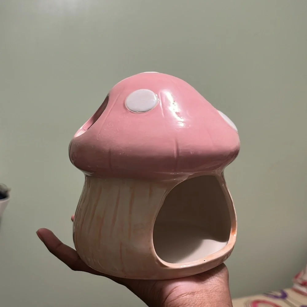 ceramic hide for small rodents
